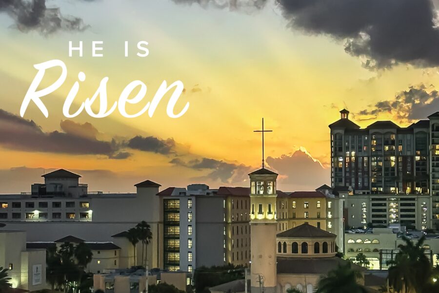 Easter Web
