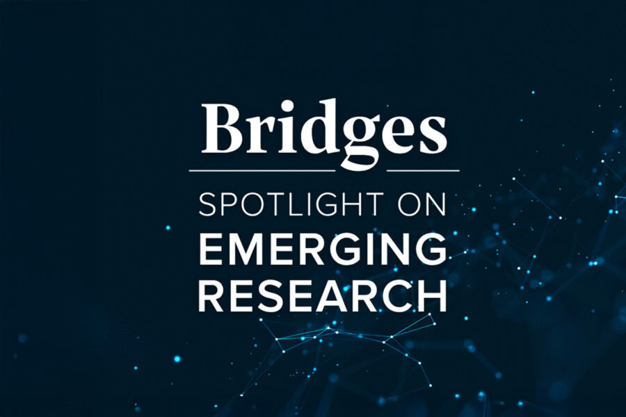 PBA Bridges Art
