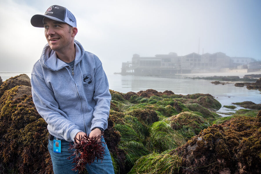 Palm Beach Atlantic University Assistant Professor Dr. Kyle Van Houtan works in the field. Photo credit: © Monterey Bay Aquarium